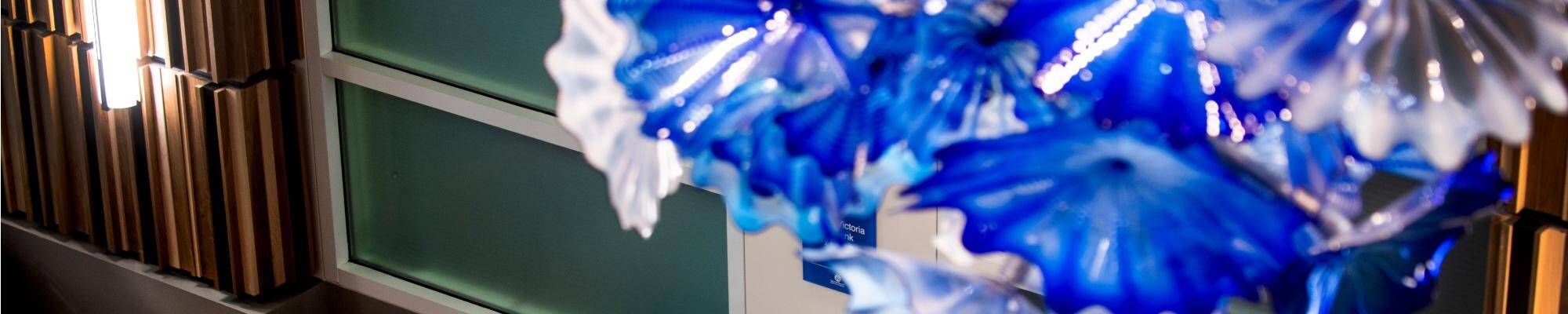 DCIH Chihuly